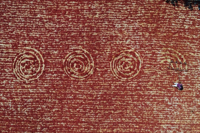 Tarladan sofraya pul biberin renk ve emek yüklü yolculuğu